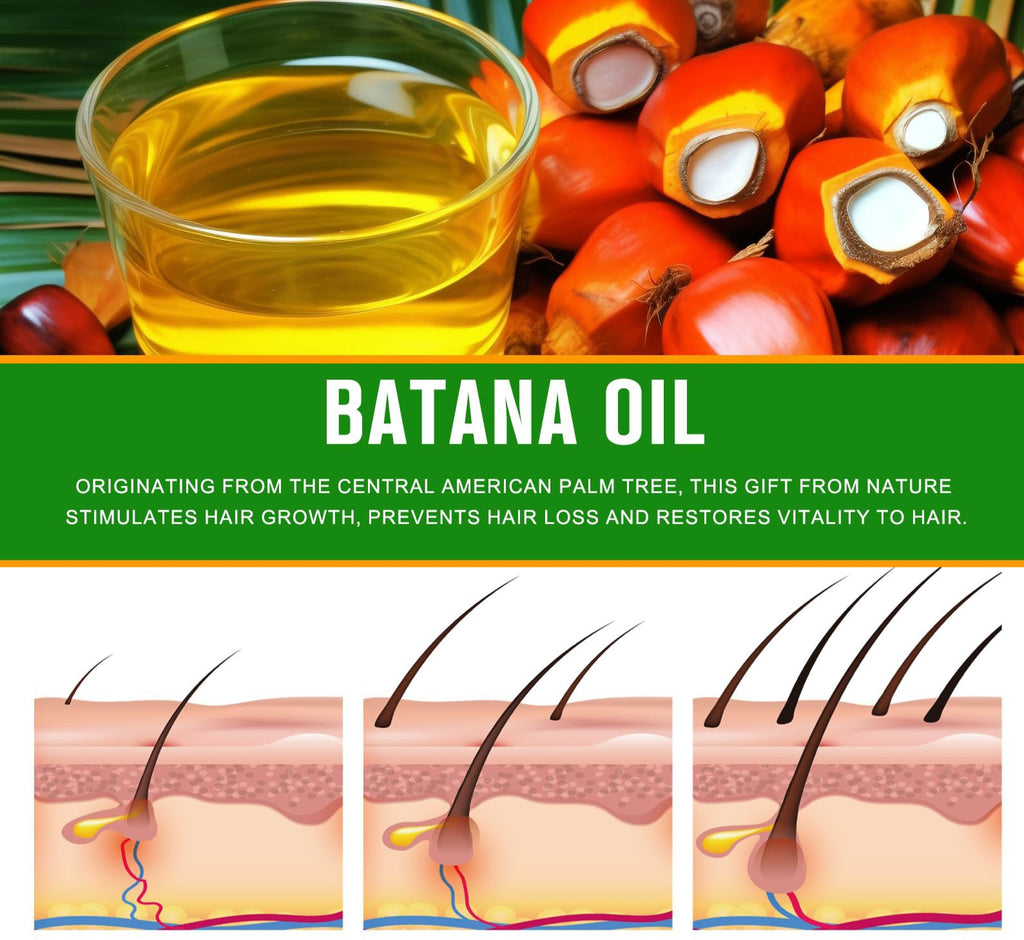 Hair Pro Care Batana Oil Hair Growth Shampoo & Conditioner Sulphate Free 250 ml
