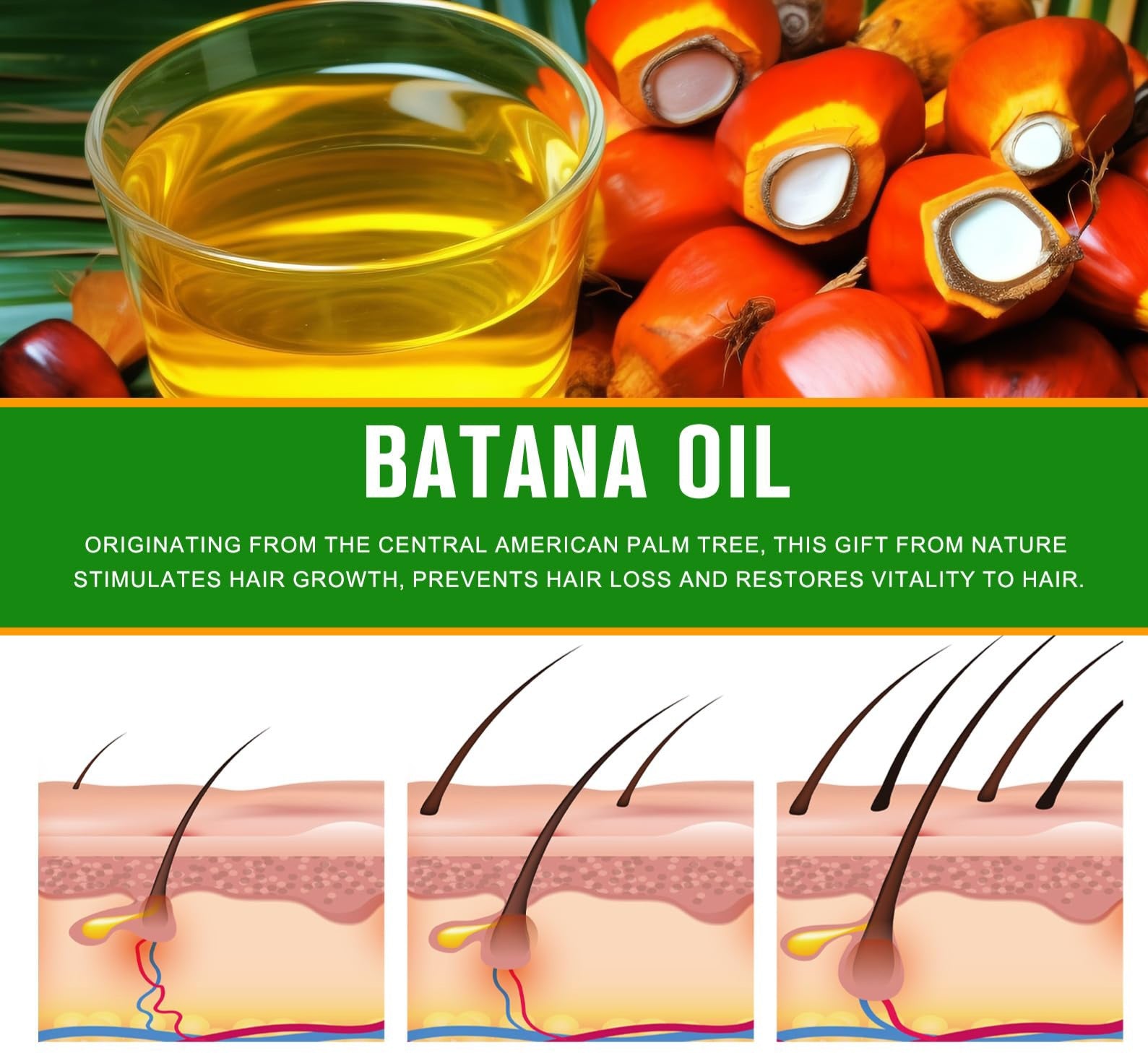 Hair Pro Care Batana Oil Hair Growth Shampoo & Conditioner Sulphate Free 250 ml