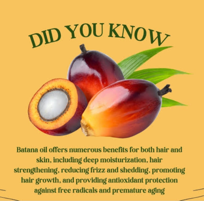Hair Pro Care Batana Oil Hair Growth Shampoo & Conditioner Sulphate Free 250 ml
